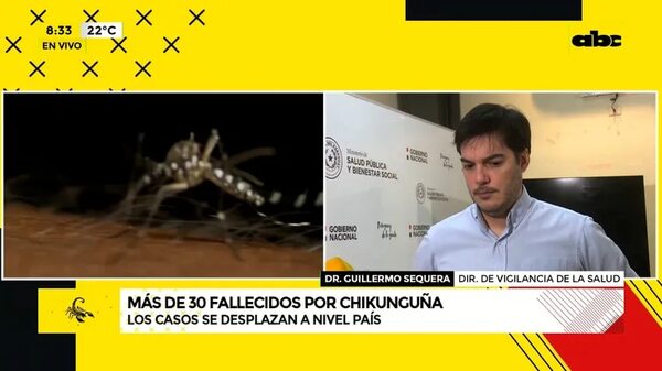Video: Más de 30 fallecidos por chikunguña - ABC Noticias - ABC Color