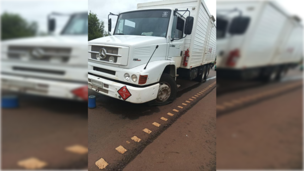 Malevos se hicieron pasar por polis para cometer millonario asalto