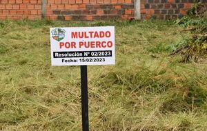 Por “puercos”: en Pilar la municipalidad multa y escracha a propietarios de baldíos sucios - Nacionales - ABC Color