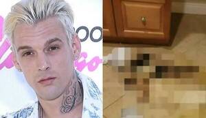Imágenes fuertes: mamá de Aaron Carter publicó fotos del baño donde el artista fue encontrado muerto