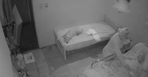 La Nación / Enfermera robó alianza y dijo que el perro se lo tragó