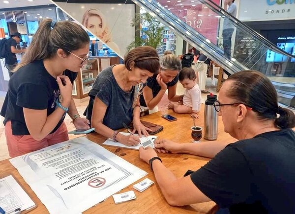 Iniciativa ciudadana pide anulación de la ordenanza que adjudicó el estacionamiento tarifado en Asunción - La Tribuna