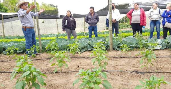 La Nación / Productores de Itapúa piden vender a los súper sin intermediarios