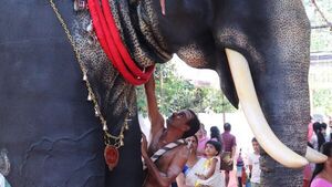 Templo hindú usa elefante robótico para evitar crueldad con animales