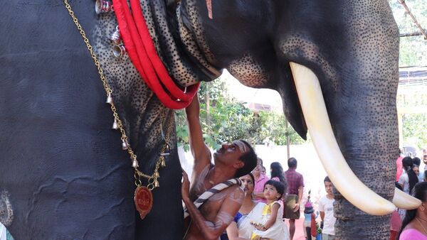 Templo hindú usa elefante robótico para evitar crueldad con animales