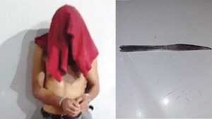 Pidió cargar su celular y quiso abusar de una doña