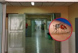Chikungunya: Niños internados en UTI de Clínicas presentan cuadros "extremada e inusualmente severos" - Megacadena — Últimas Noticias de Paraguay