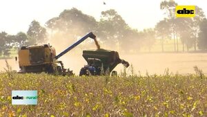 Video: campaña sojera mejora demanda de uso de camiones graneleros - ABC Rural - ABC Color
