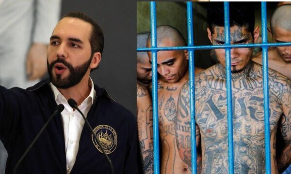 Nayib Bukele explicó por qué ordenó destruir tumbas de pandilleros: su comparación con Alemania