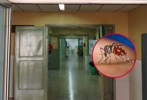 Chikungunya: Niños internados en UTI de Clínicas presentan cuadros «extremada e inusualmente severos»