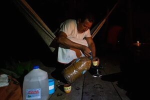 Dinavisa advierte los riesgos que implica el consumo de la infusión de ayahuasca - Nacionales - ABC Color