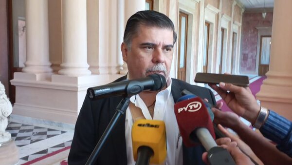 Borba critica campaña de Alegre sobre “pohã gratis” - ADN Digital