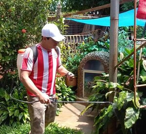 Chikunguña: joven impulsa campaña para generar conciencia  - Nacionales - ABC Color