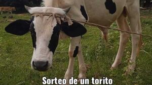 Sortean un torito para comprar uniforme a estudiante