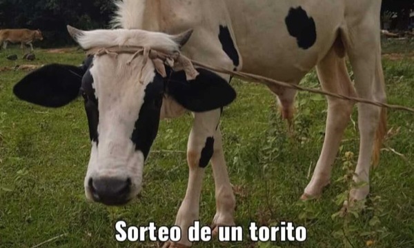 Sortean un torito para comprar uniforme a estudiante - Noticiero Paraguay