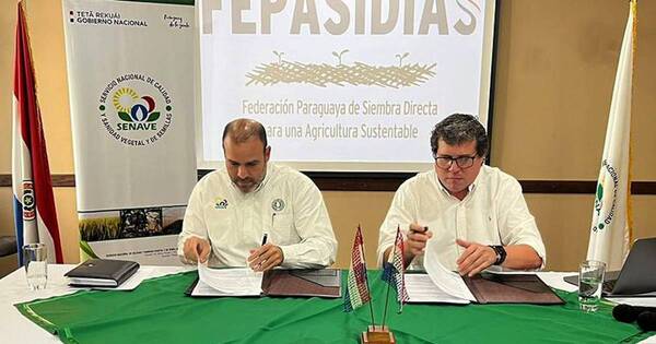 La Nación / Impulsarán importación y producción de semillas