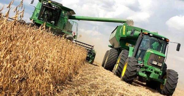 La Nación / Complejo soja fue solo el 4% de todas las exportaciones