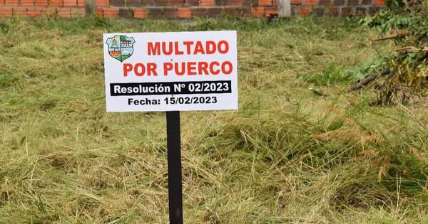 La Nación / Piden replicar “Multado por puerco” a nivel país