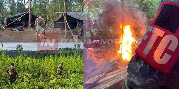 SENAD CURSÓ OPERACIÓN Y SACÓ DE CIRCULACIÓN 111 TONELADAS DE MARIHUANA EN AMAMBAY - Itapúa Noticias