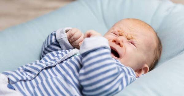 La Nación / Chikungunya en niños pequeños: instan a consulta inmediata ante sospecha