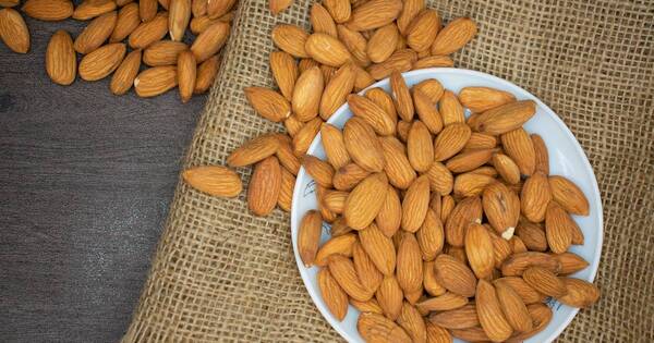 La Nación / ¿Por qué es bueno comer almendras y cuáles son sus propiedades?