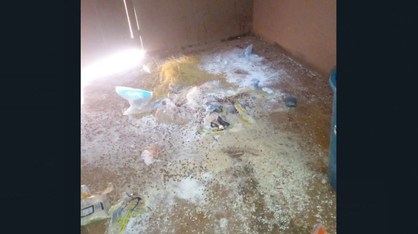 Itakyry: Hurtan y destruyen alimentos del almuerzo escolar - Noticias Paraguay