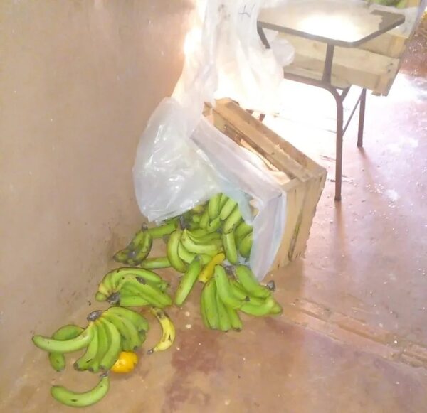 Ladrones dejan sin almuerzo escolar a niños de Itakyry - ABC en el Este - ABC Color