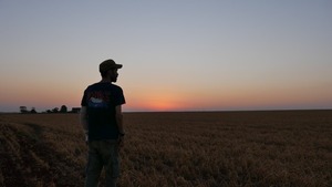 Diario HOY | DOCPY Lab 23: Convocatoria abierta para proyectos documentales paraguayos
