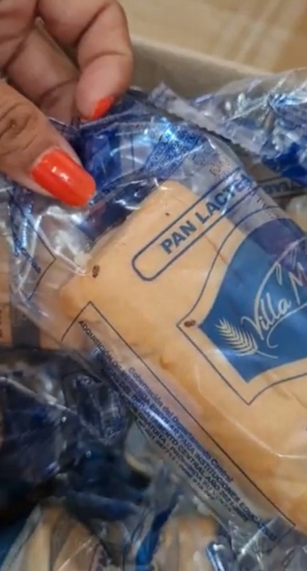 Escuela de Villa Elisa recibió panes para la merienda escolar con bichitos, denuncian - trece