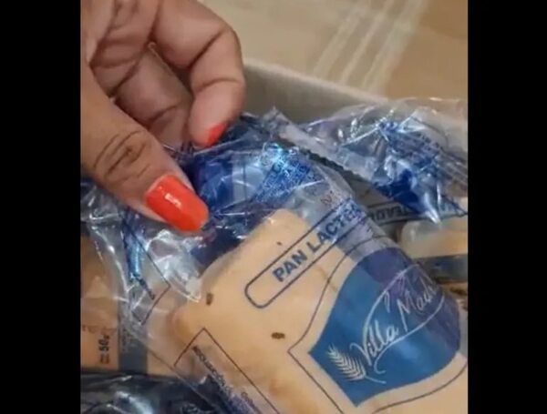 Video: Denuncian panificados con insectos en escuela de Villa Elisa - Nacionales - ABC Color