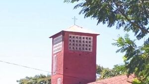 Abejas que "se adueñaron" de una iglesia mataron ya a tres caballos