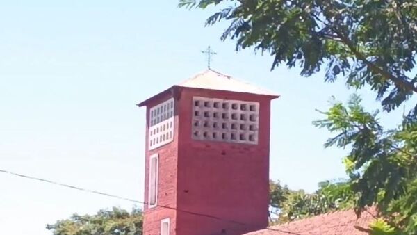 Abejas que "se adueñaron" de una iglesia mataron ya a tres caballos