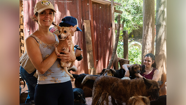 Manada natural: Jagua Renda, el santuario canino que proyecta desarrollar un parque temático