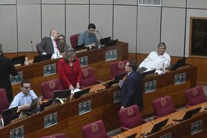 Sancionarán ley antisicariato con penas de hasta 30 años - Política - ABC Color