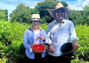 Mujer emprendedora: Fabricación artesanal de picantes orgánicos - Estilo de vida - ABC Color