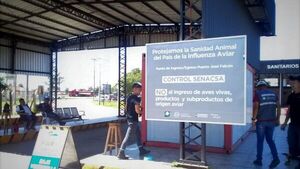 Senacsa triplica presupuesto para contingencia por influenza aviar