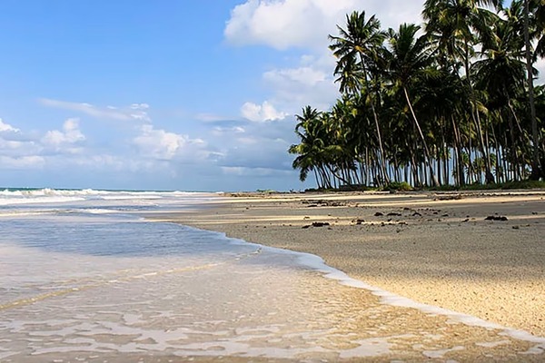 En menos de 24 horas, reportaron dos ataques de tiburones en una playa de Brasil - Megacadena — Últimas Noticias de Paraguay