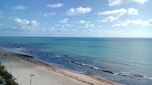 Una playa brasileña registra dos ataques de tiburones en 24 horas