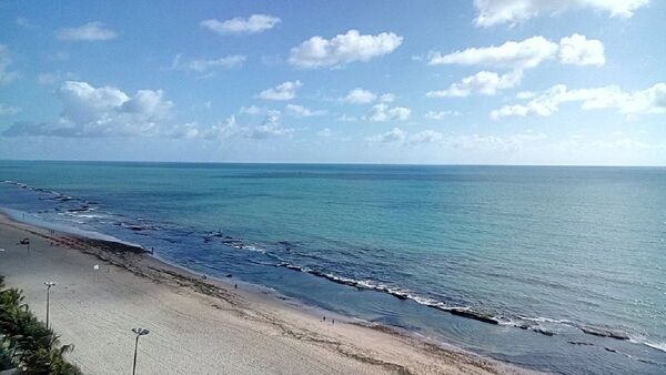 Una playa brasileña registra dos ataques de tiburones en 24 horas