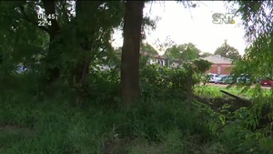 Maleza en cercanías del Hospital del Barrio San Pablo - SNT