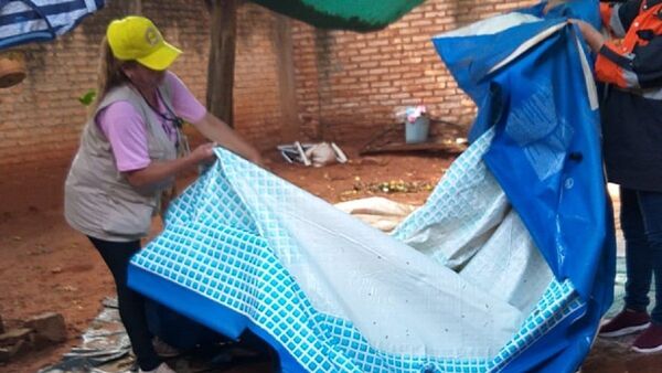 Ante casos de chikungunya, Senepa lamenta problemática de criaderos