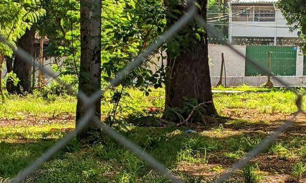 Cuerpo de japonés encontrado tenía un disparo en la cabeza
