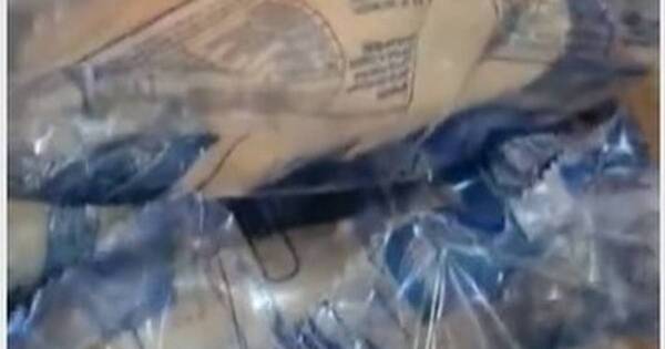 La Nación / Encuentran bichos en panes entregados para la merienda escolar