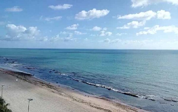 Una playa brasileña registra dos ataques de tiburones en 24 horas – Prensa 5