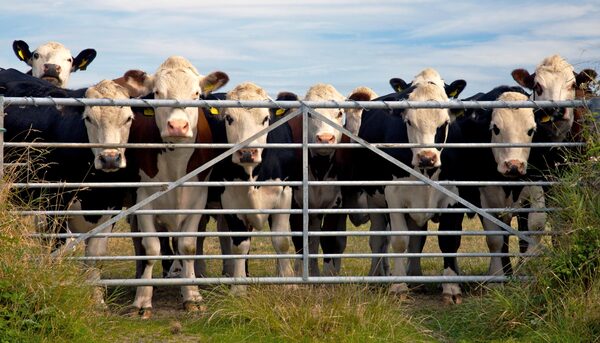 Casi 10 mil farmers menos en Estados Unidos en 2022, según el USDA