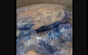 Encuentran bichos en panes entregados para la merienda escolar en Villa Elisa – Prensa 5