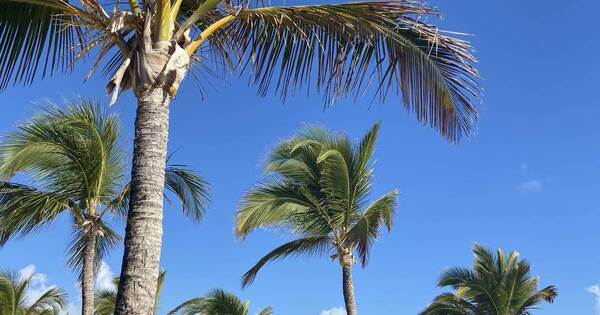La Nación / Viajes: Punta Cana, una de las mejores playas del mundo