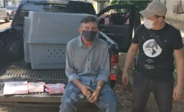 Condenan a 12 años de prisión a brasileño por tráfico de drogas