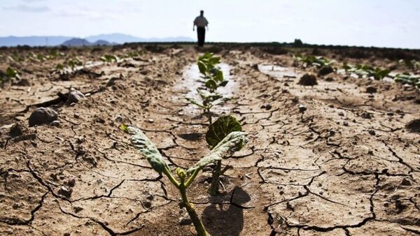 El cambio climático está severamente amplificado en la región, según experto - Megacadena — Últimas Noticias de Paraguay