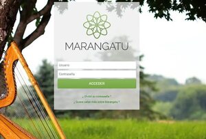 SET sostiene que el sistema Marangatu está en funcionamiento  - Economía - ABC Color
